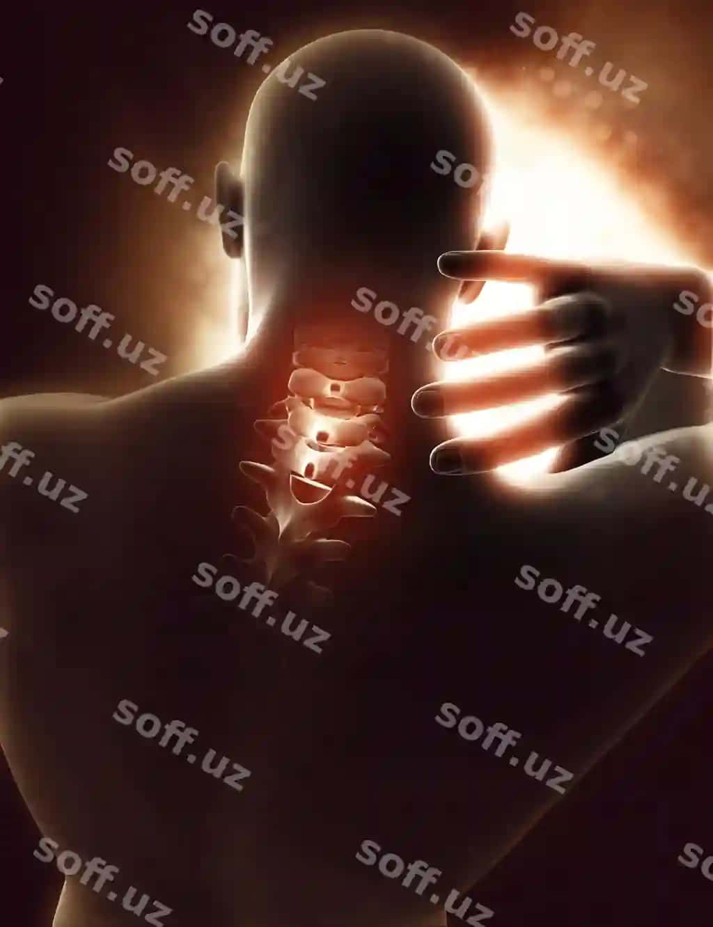 3d erkak shakli bo'g' ajratilgan og'riq | 3d male figure with neck highlighted pain