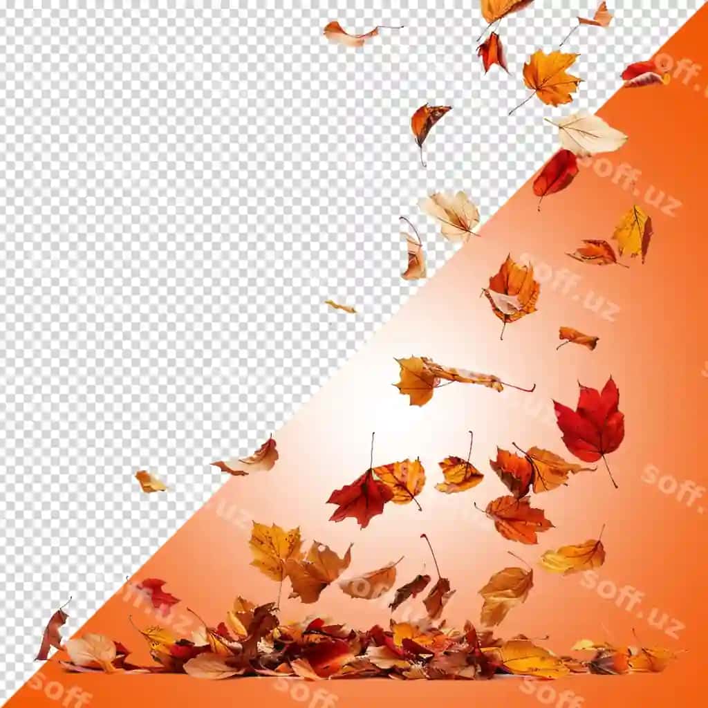 Yog'ayotgan kuz barglari ajraltirilgan oq fonda png | Falling autumn leafs isolated white backgroundpng