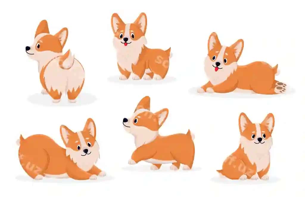 Chiroyli korgi komik shaxslar to'plami vektor illustratsiyalari gulbishik it bilan | Cute corgi comic characters set vector illustrations funny dog with