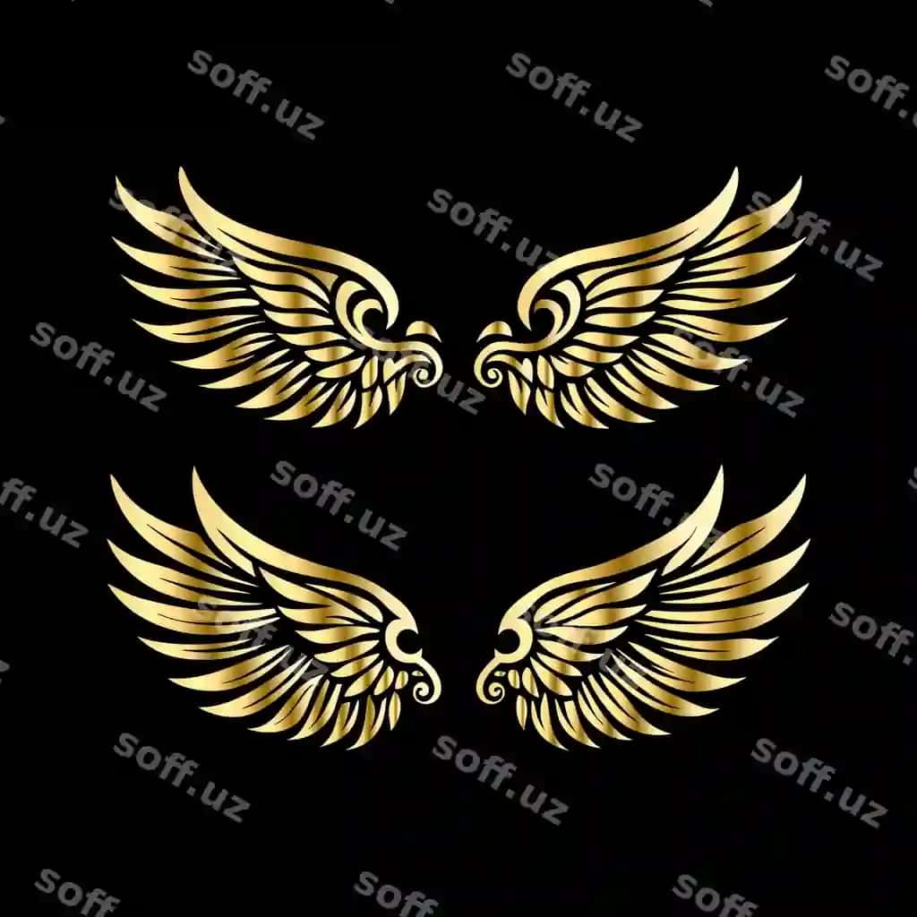 Vektor to'plami oltin vintaj heraldik qanotlar ajraltirilgan qora fonda | Vector set golden vintage heraldic wings isolated black background