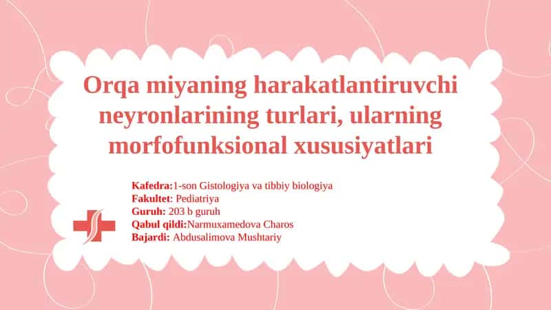 Orqamiyaning harakatlantiruvchi neyronlarining turlari