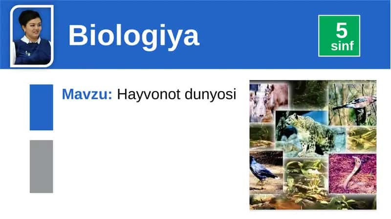 Hayvonotdunyosi