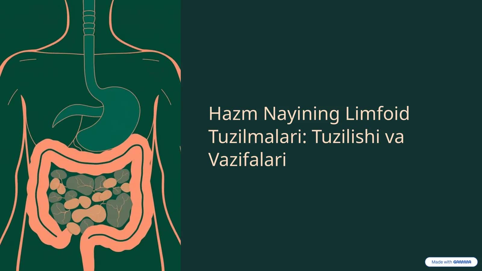Hazm Nayining Limfoid Tuzilmalari: Tuzilishi va Vazifalari