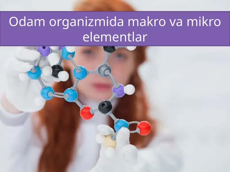 Odam organizmi damakro va mikro elementlar