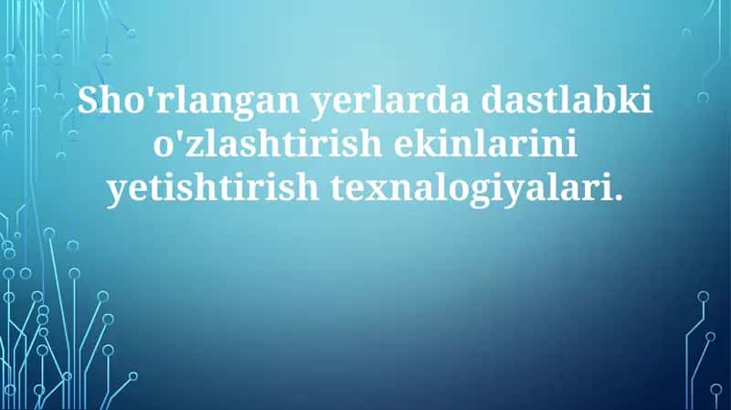 Sho'rlangan yerlardagi dastlabki o'zlashtirishekinlarini yetishtirish texnologiyalari