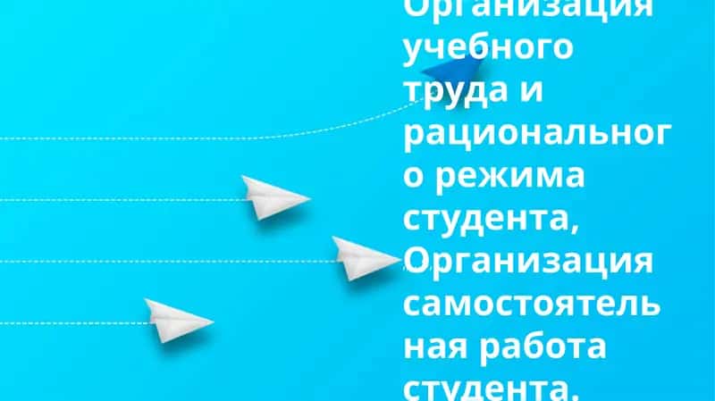 Организация учебного труда и рационального режима студента