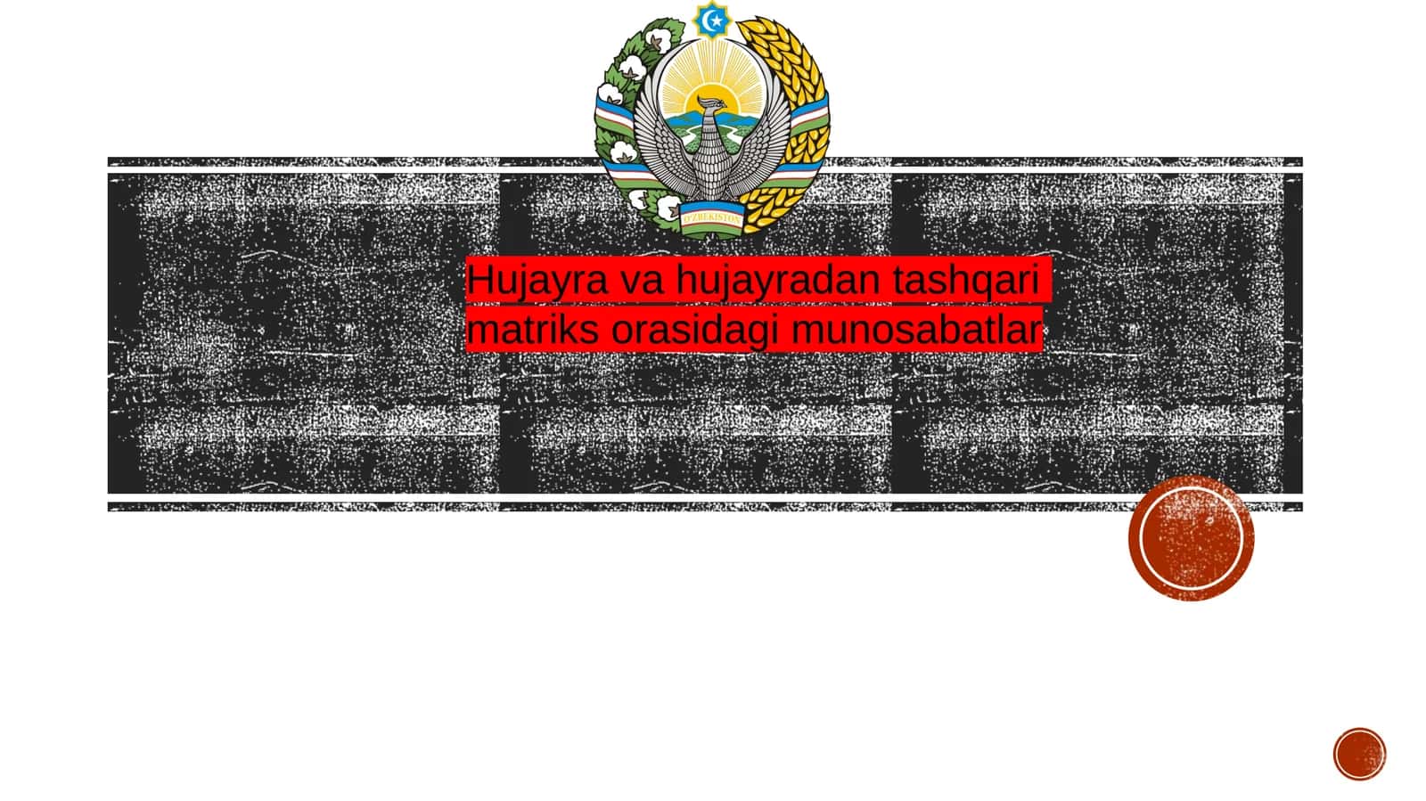 Hujayra va hujayradan tashqari matriks orasidagi munosabatlar