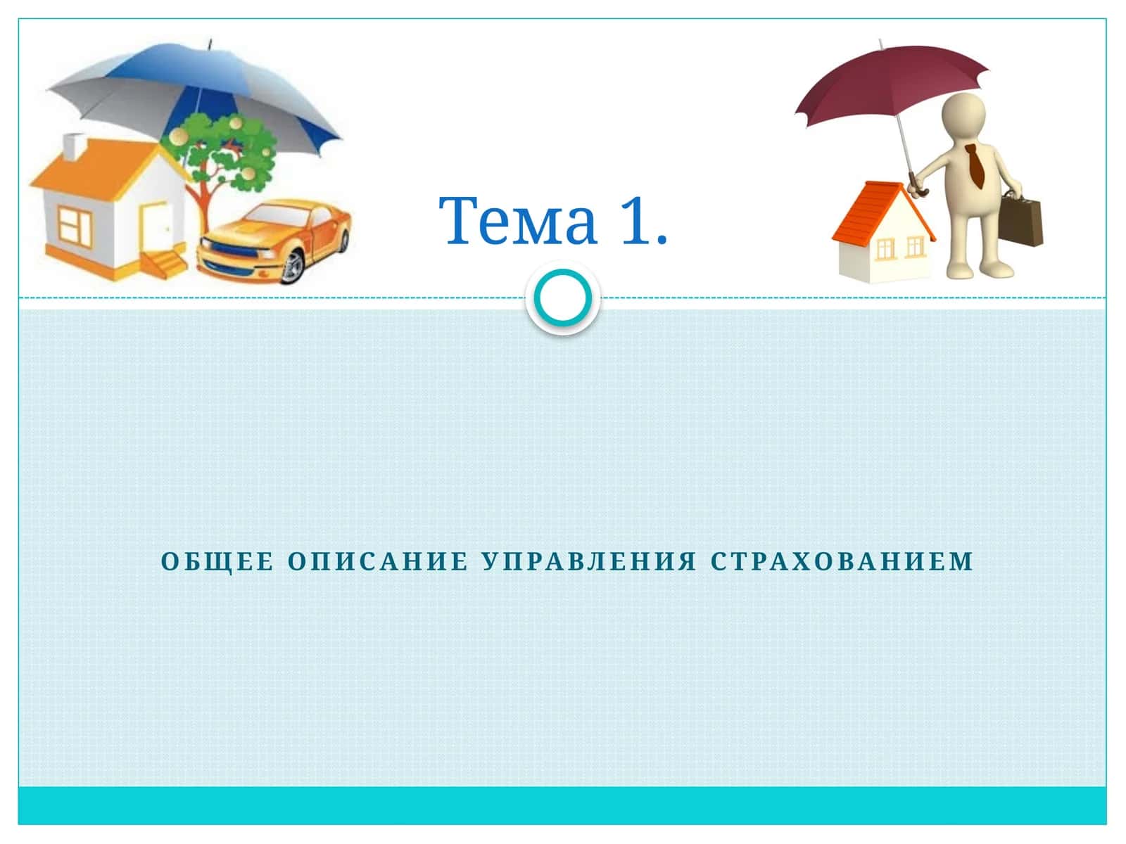 Общее описание управления страхованием