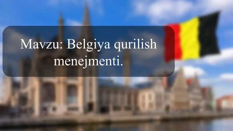 Belgiya qurilish menejmenti