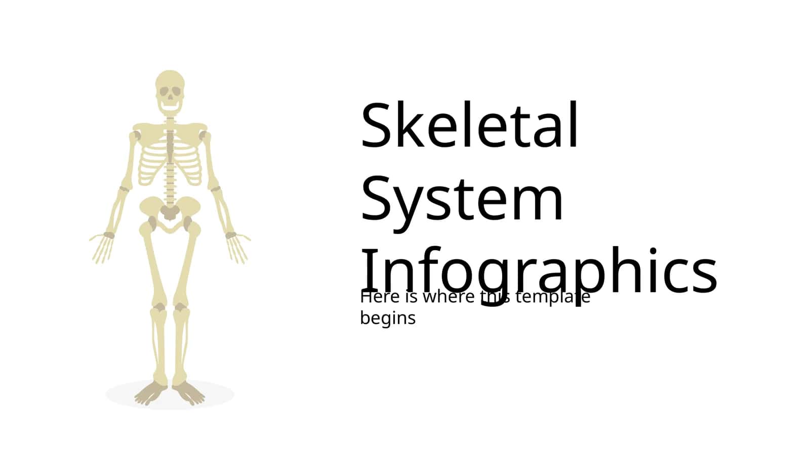 Skeletal System Infographics