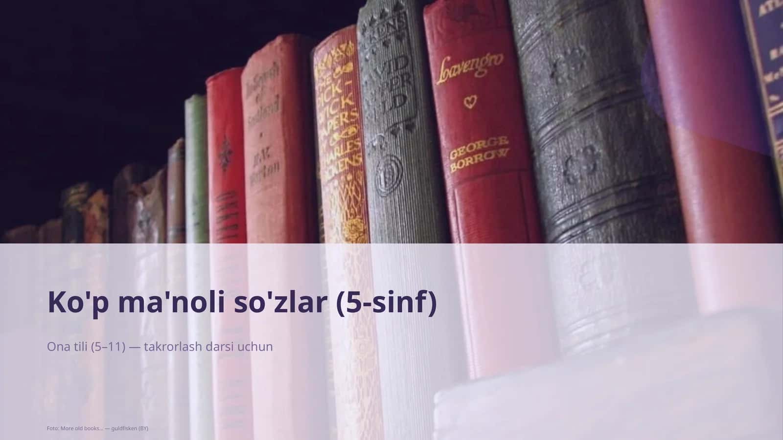 Ko'p ma'noli so'zlar (5-sinf)