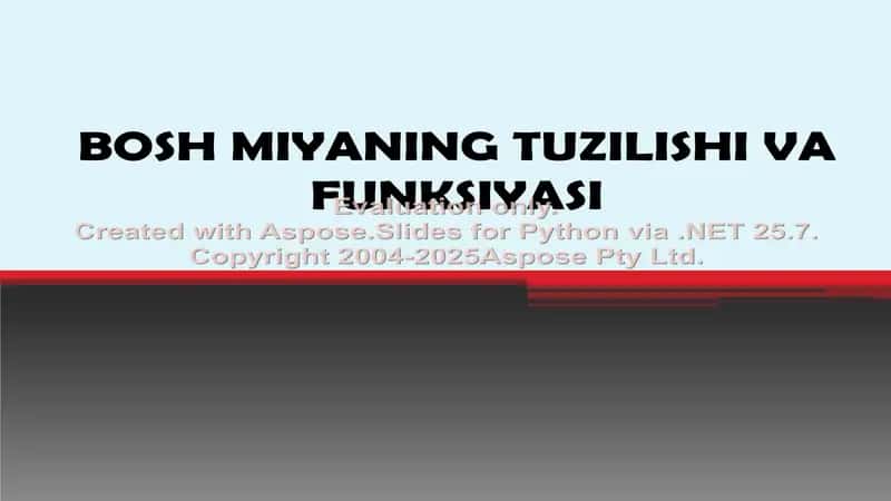 Bosh miyaning tuzilishi va funksiyasi