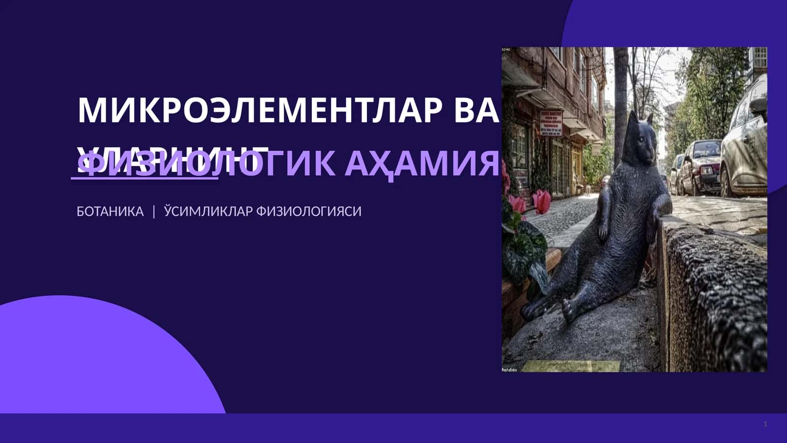МИКРОЭЛЕМЕНТЛАР ВА УЛАРНИНГ ФИЗИОЛОГИК АҲАМИЯТИ
