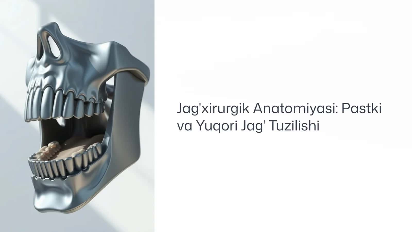 Jag'xirurgik Anatomiyasi: Pastki va Yuqori Jag' Tuzilishi