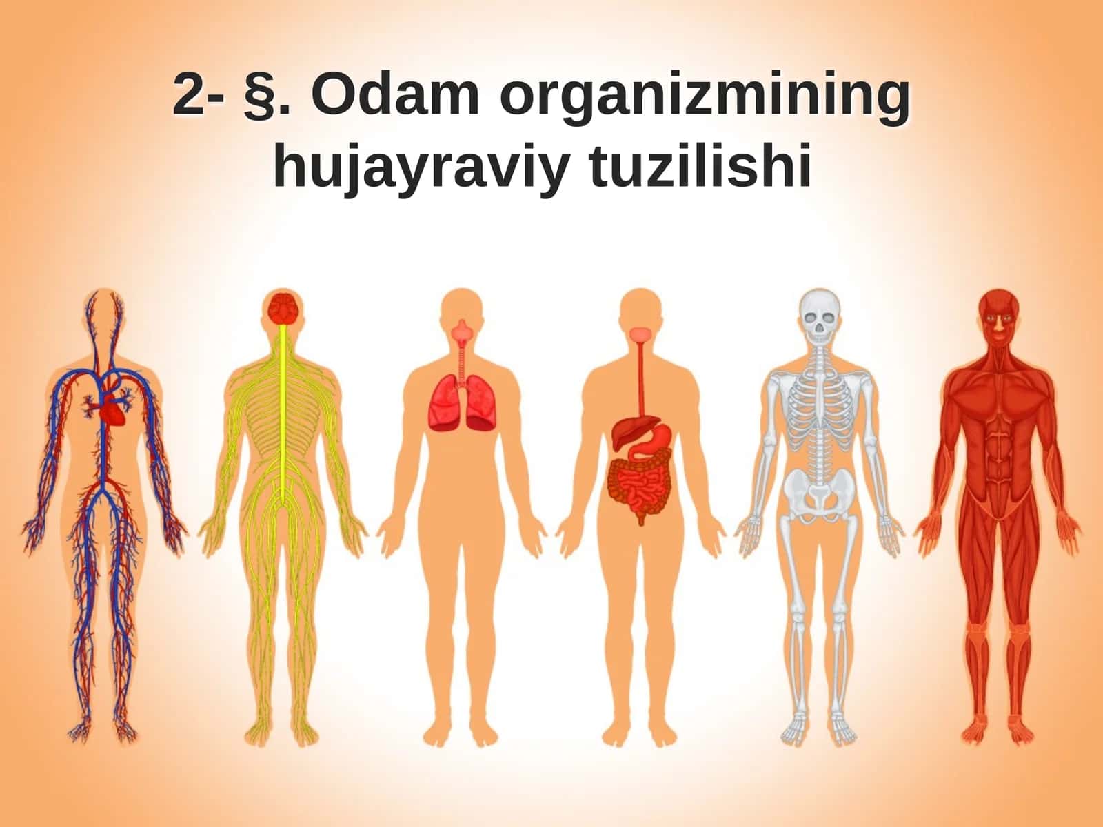 §.Odam organizmining hujayraviy tuzilishi