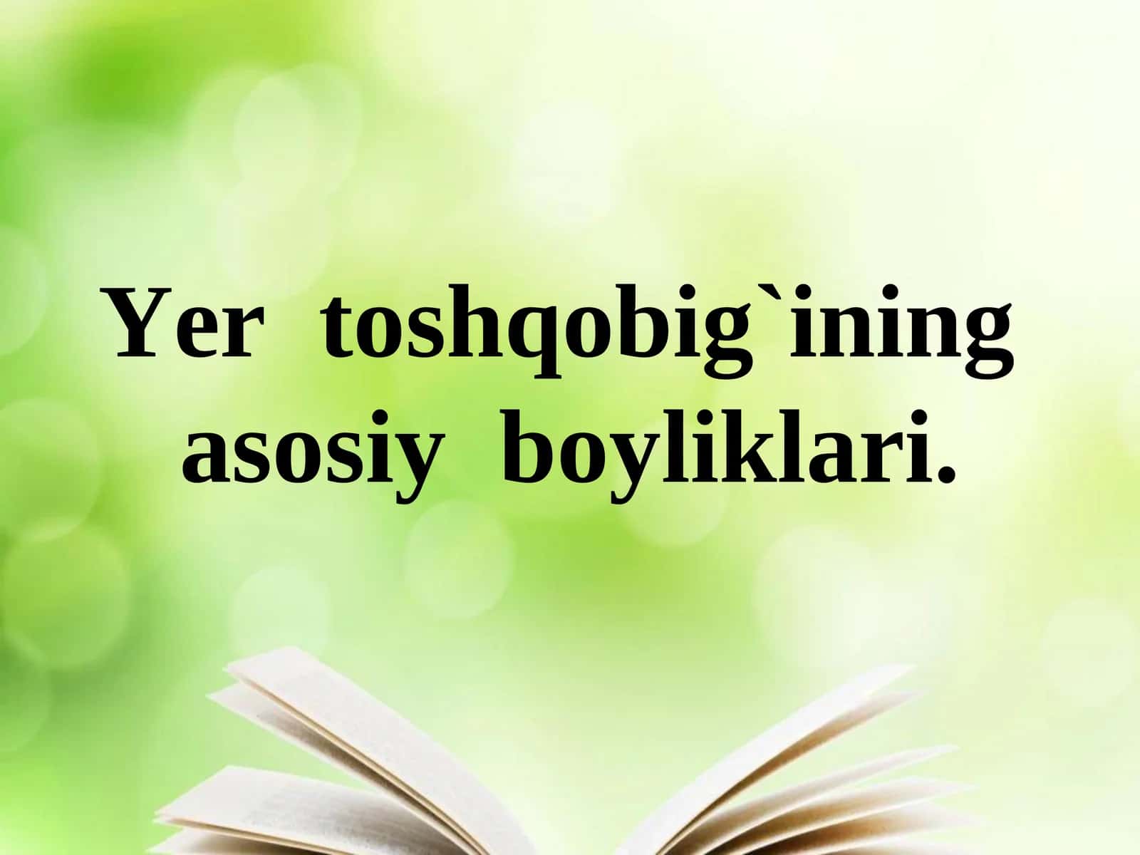 Yer toshqobig`ining asosiy boyliklari
