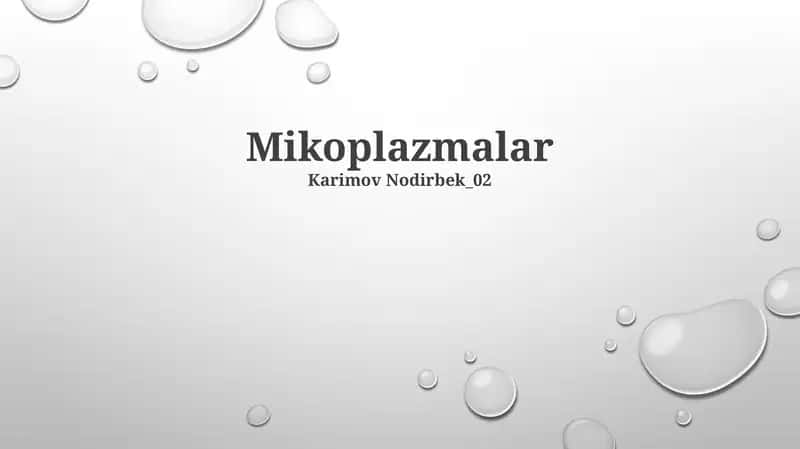 Mikoplazmalar