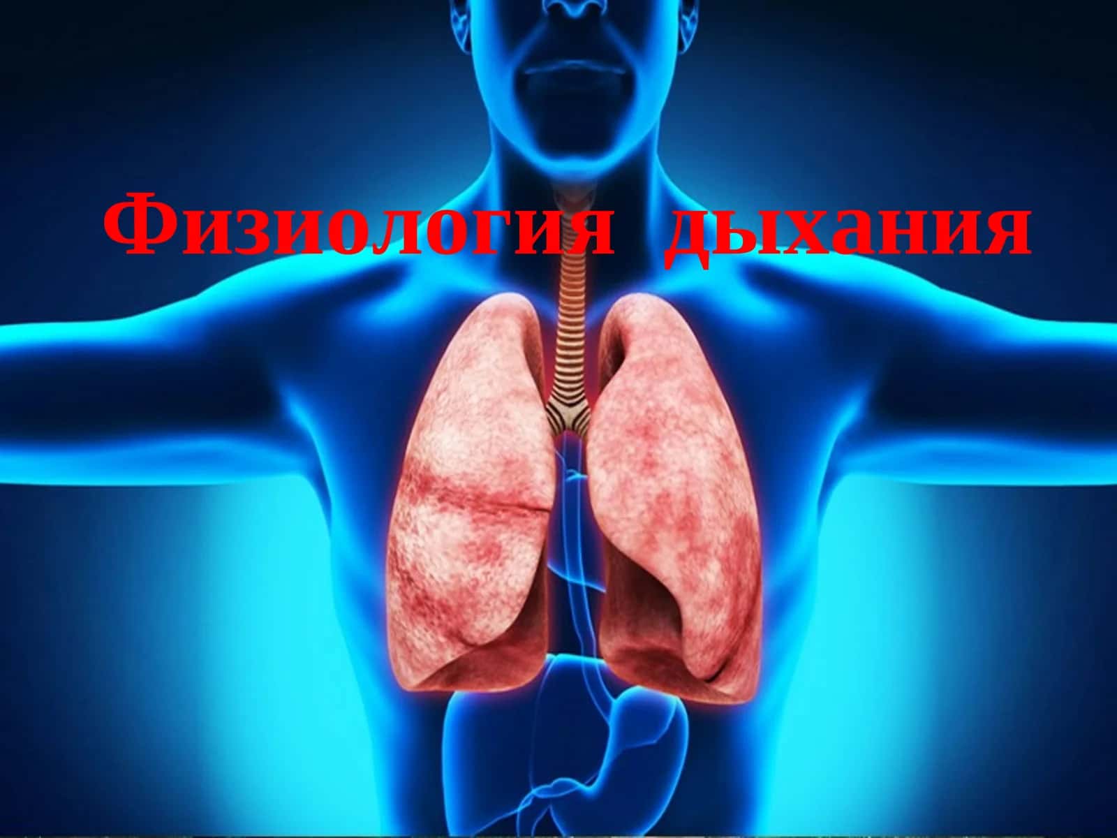 Физиология дыхания