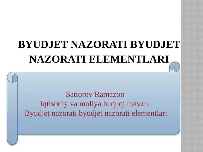 Byudjet nazorati elementlari