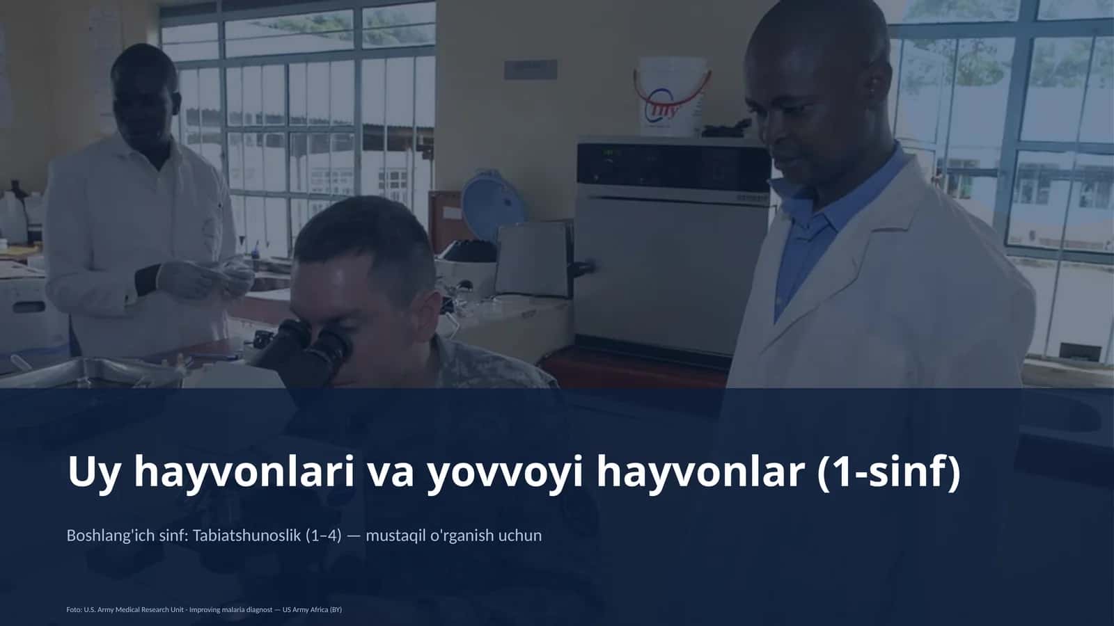 Uy hayvonlari va yovvoyi hayvonlar (1-sinf)