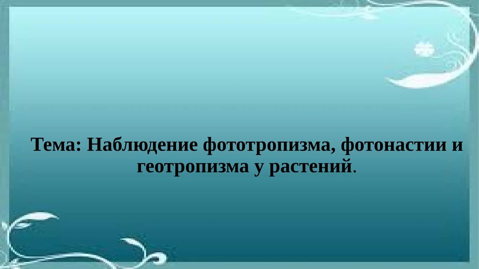 Фототропизм, фотонастии ва геотропизм наблюдениялари у растениялар