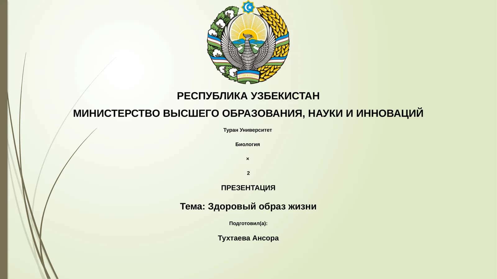 Здоровый образ жизни