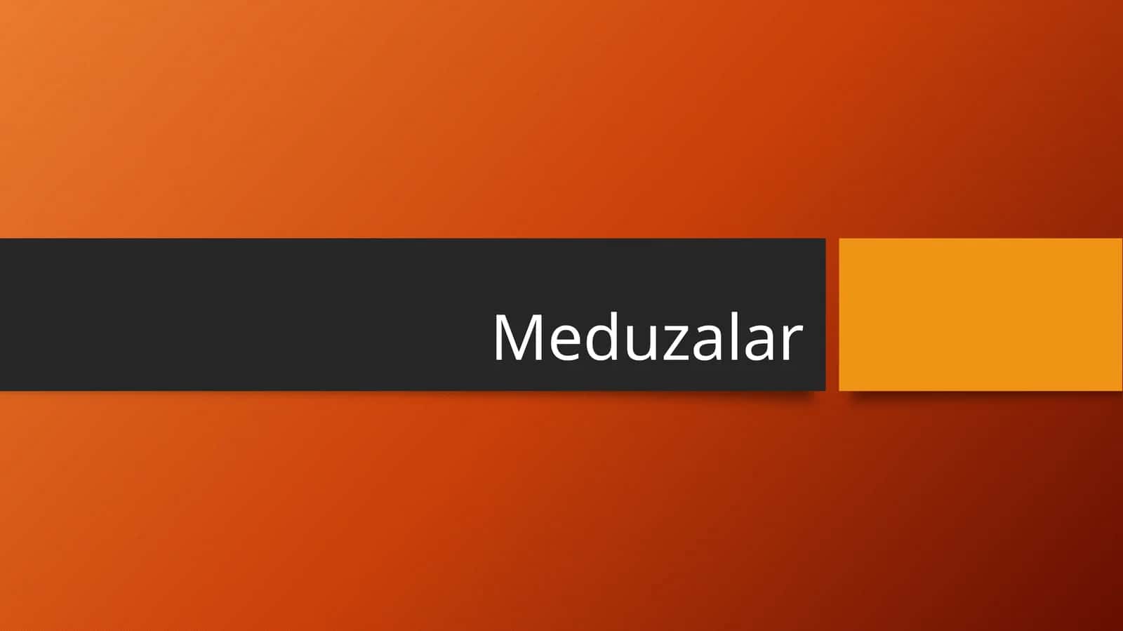 Meduzalar
