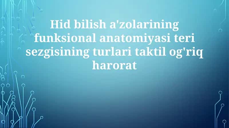 Teri funksiya anatomiyasi