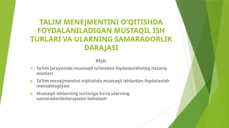 Ta'lim Menejmentini O‘qitishda Foydalaniladigan Mustaqil Ish Turlari va Ularning Samaradorlik Darajasi