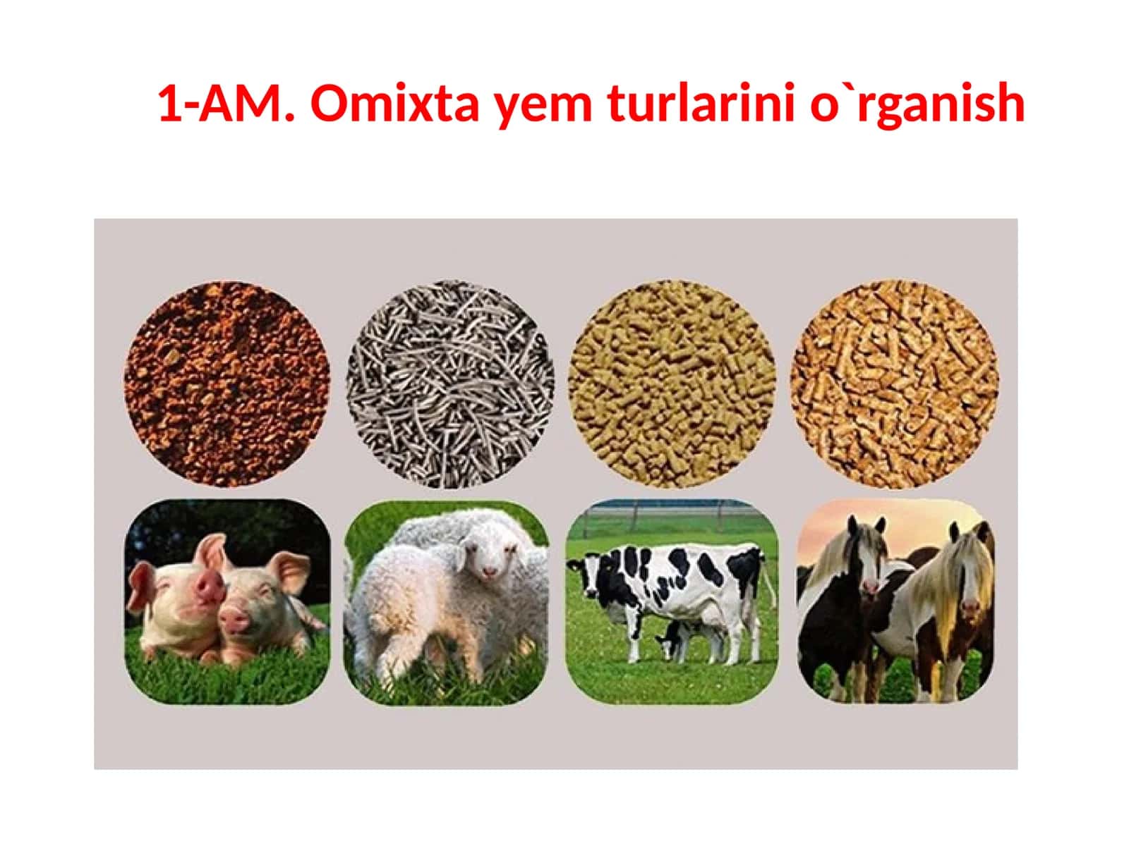 Granulalangan omixta yem mahsulotlari