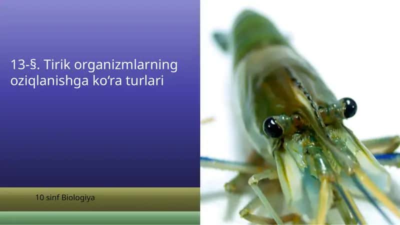 Tirik organizmlarning oziqlanishga ko‘ra turlari
