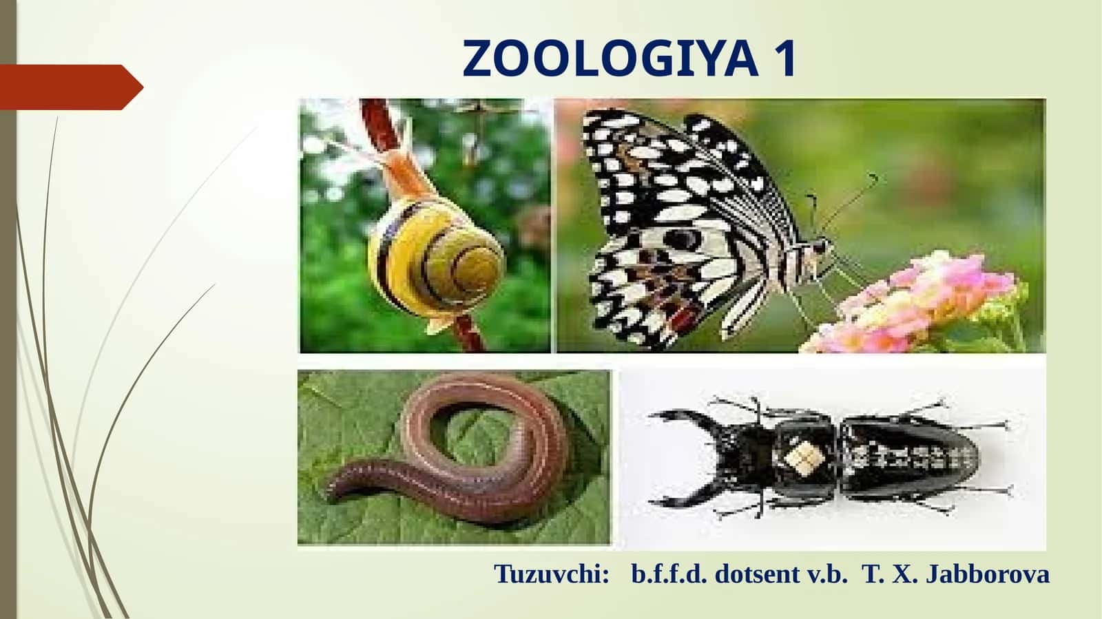 ZOOLOGIYA 1