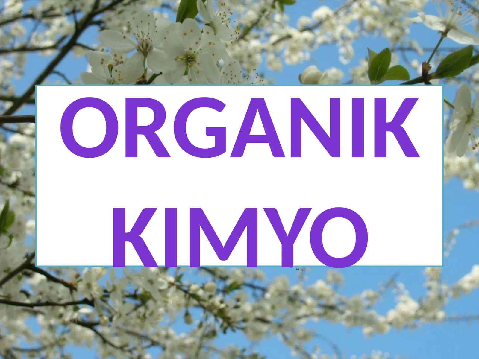 Organikkimyo