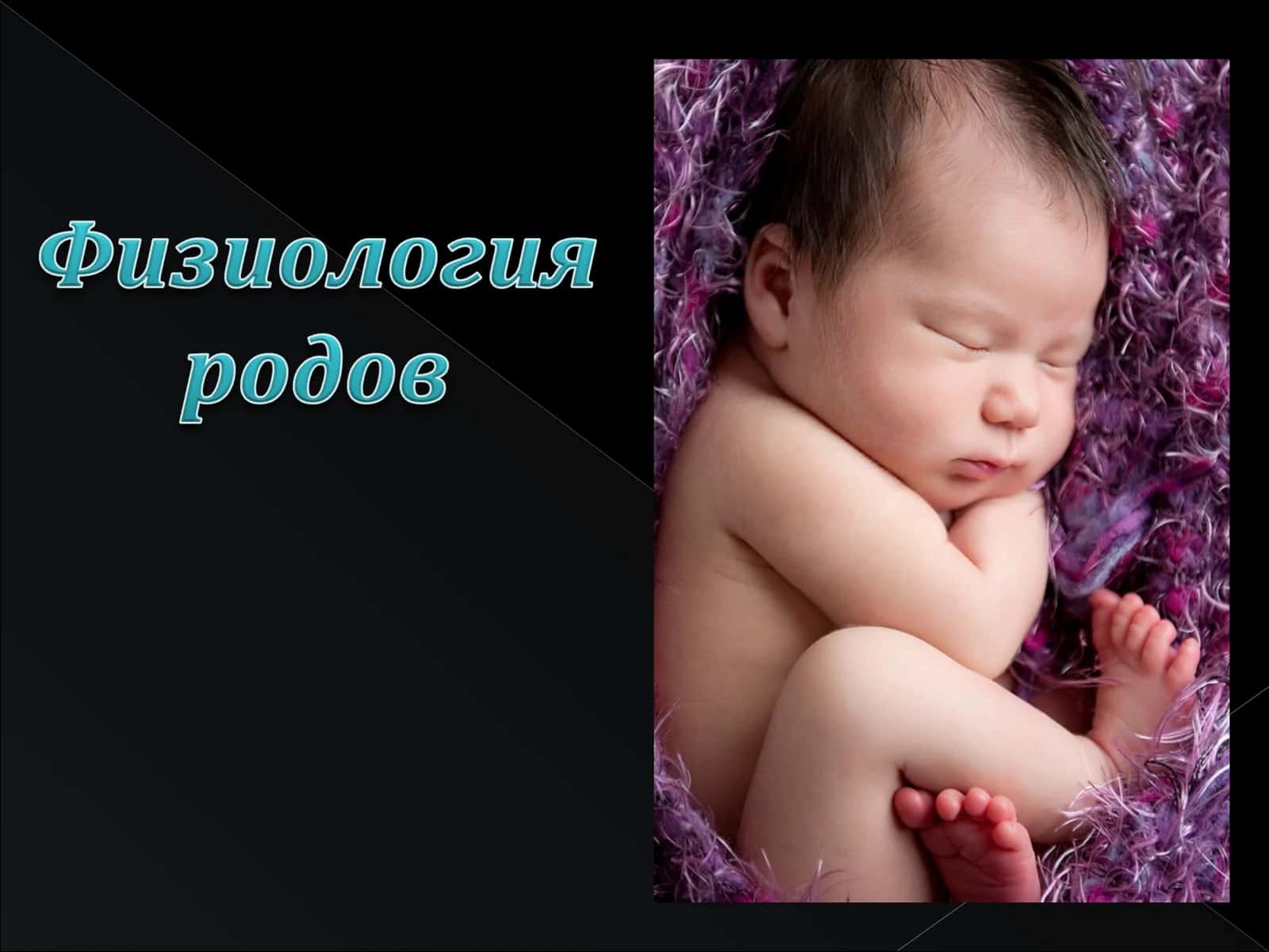Базальная децидуальная оболочка