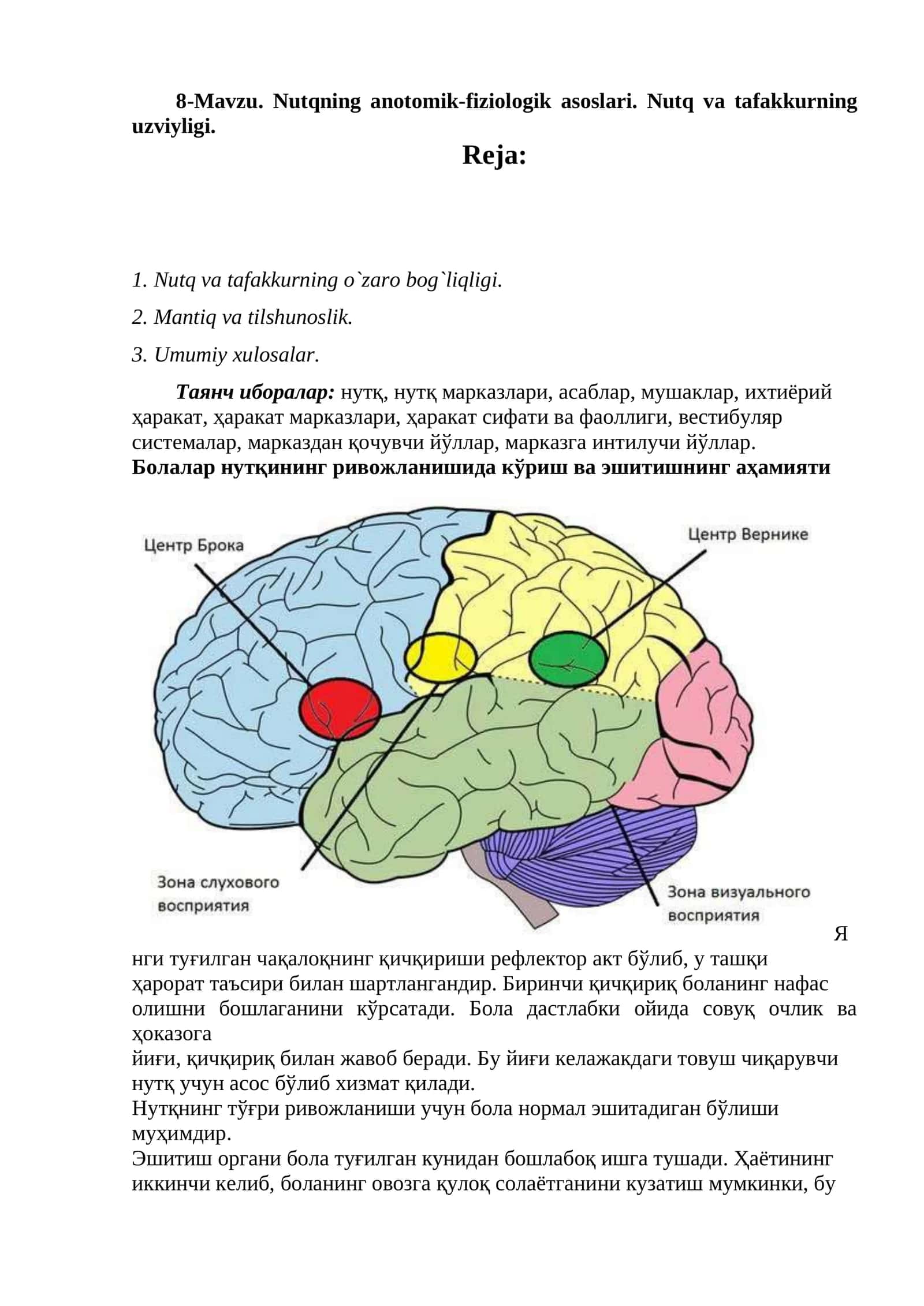 Nutqning anatomik-fiziologik asoslari. Nutq va tafakkurning uzviyligi