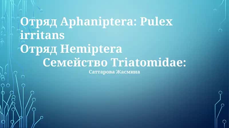 Aphaniptera: Pulex irritans