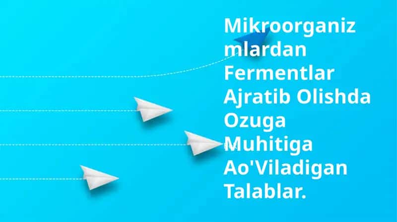 Fermentatsiya muhiti