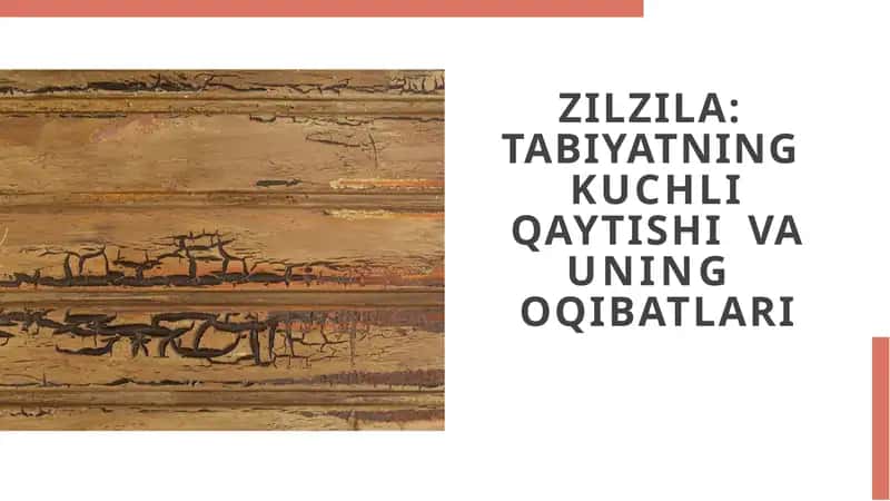 Zilzila: Tabiyatning kuchliqaytishi va uning oqibatlari