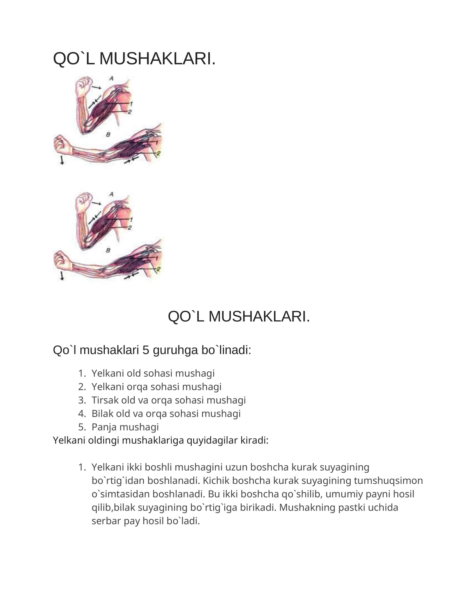 QO`L MUSHAKLARI