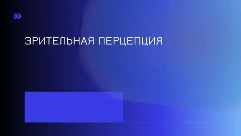 ЗРИТЕЛЬНАЯ ПЕРЦЕПЦИЯ