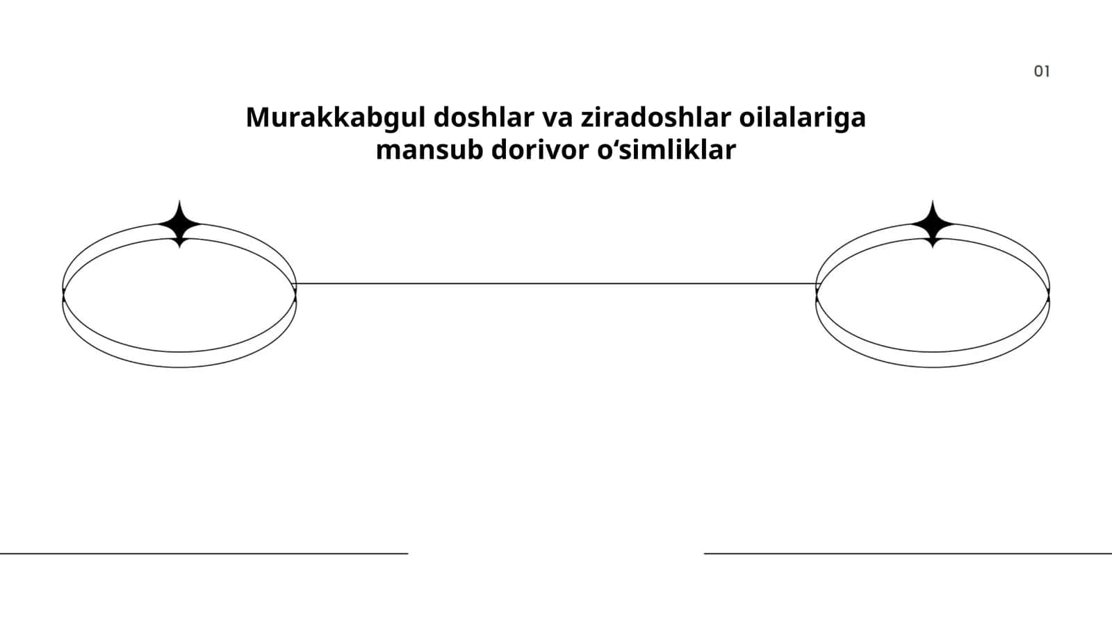 Murakkabgul doshlar va ziradoshlar oilalariga mansub dorivor o‘simliklar