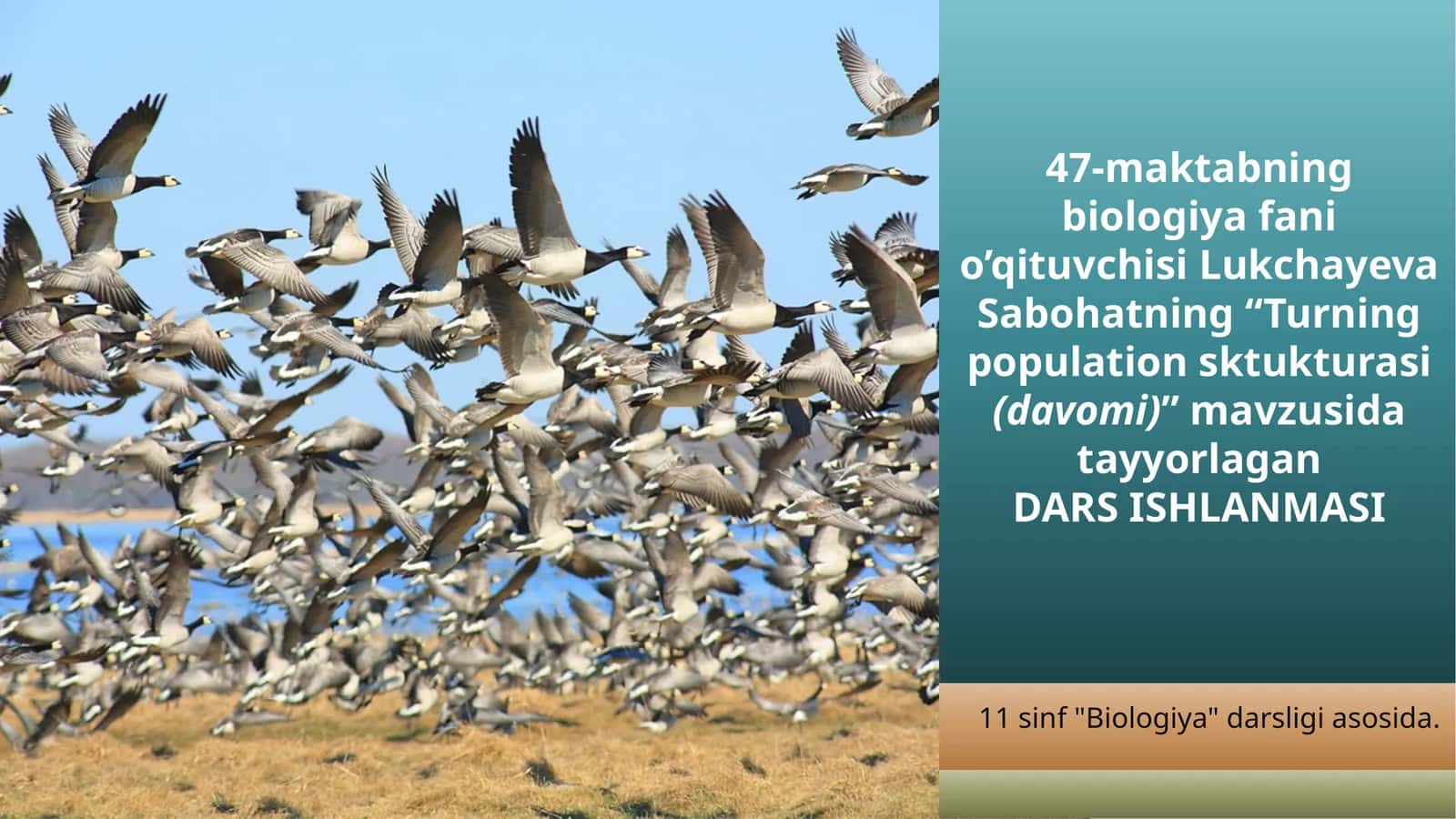 "Turning populationsktukturasi(davomi)" mavzusida