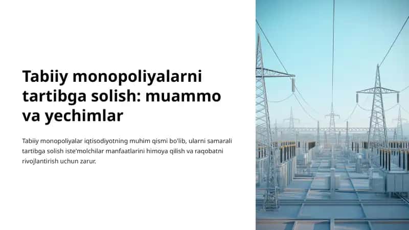 Tabiiy Monopoliyalar