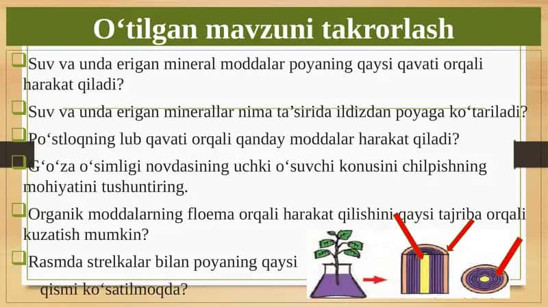 BARGLARDA ORGANIK MODDALARNING HOSIL BO'LISHI