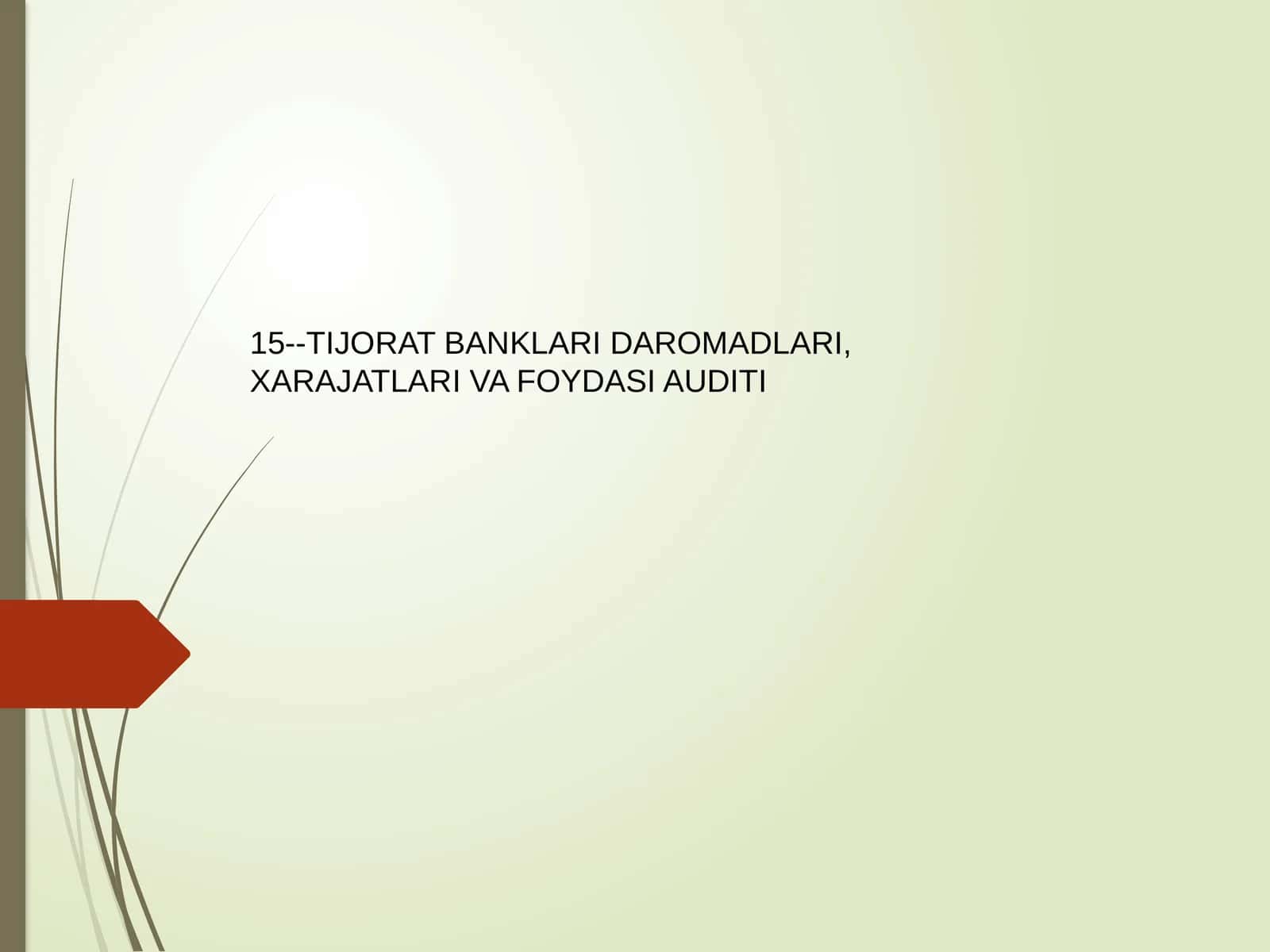 Tijorat Banklari Daromadlari, Xarajatlari va Foydasi Auditi