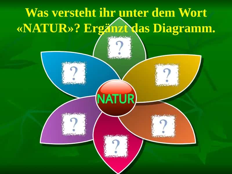 Ökologie