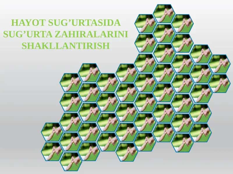 Hayot sug’urtasida sug’urta zahiralarini shakllantirish.