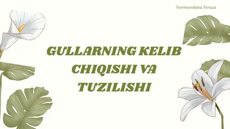 GULLARNING KELIB CHIQISHI VA TUZILISHI.