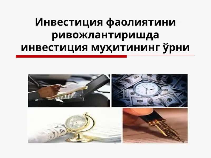 Инвестиция куриш