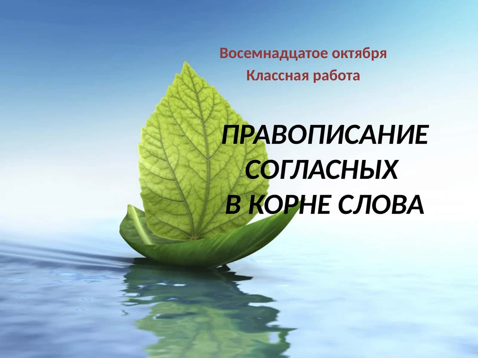Правописание согласныхвкорне слова
